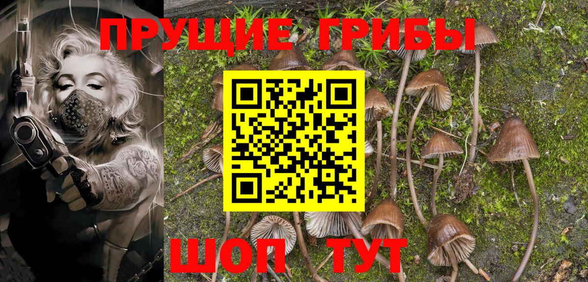 Псилоцибиновые грибы MAGIC MUSHROOMS  Галлюциногенные грибы MAGIC MUSHROOMS  Боровичи  что такое наркотик  Вход с VPN 